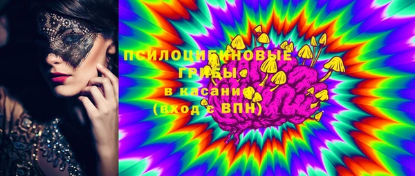трава Сатка