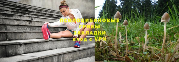 прущий лед Армянск