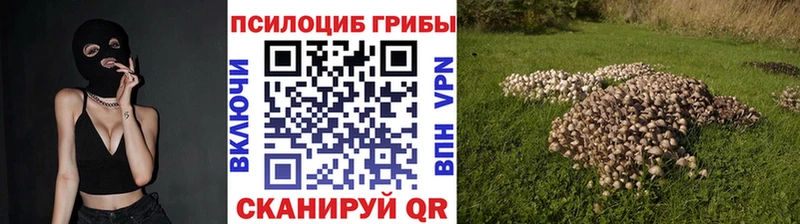 Галлюциногенные грибы мицелий даркнет сайт Томмот